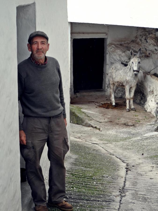 Apartamento Casa Pepe La Rosa Atico Tolox Exterior foto